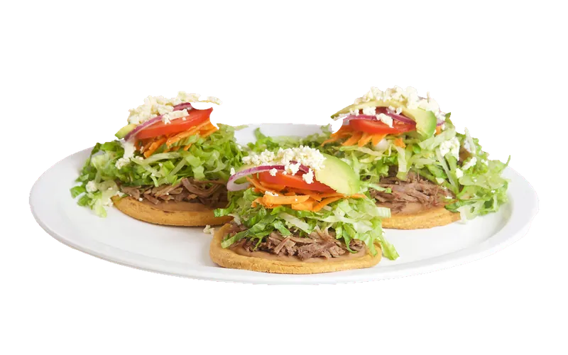 Gorditas de res o pollo